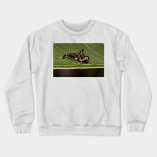 Soldier Fly Crewneck Sweatshirt